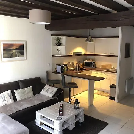 Appartement Le Zola Hyper Centre Classé Troyes