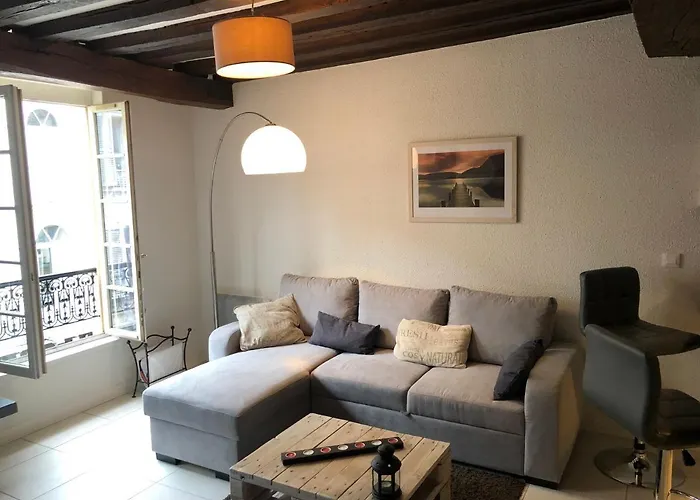 Le Zola Hyper Centre Classe Apartment *